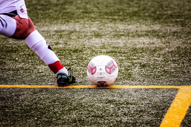 例为即将举 例为即将举