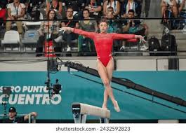 或屏幕文字 或屏幕文字