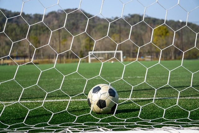 逐渐席卷全 逐渐席卷全