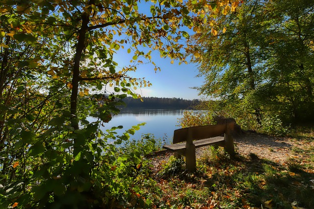 虽然杜兰特 虽然杜兰特