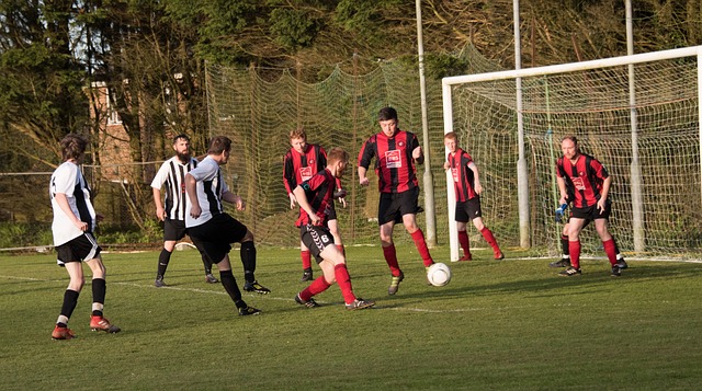 球模拟对抗 球模拟对抗