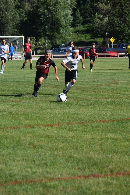 布鲁克林篮 布鲁克林篮