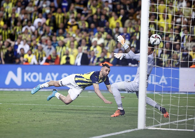 面临的挑战 面临的挑战